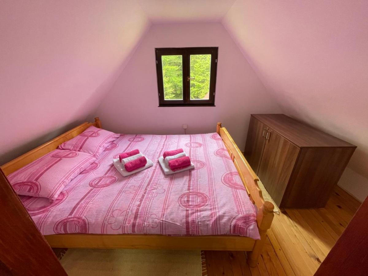 Vikendica Na Sokolini Villa Gornja Koprivna Buitenkant foto